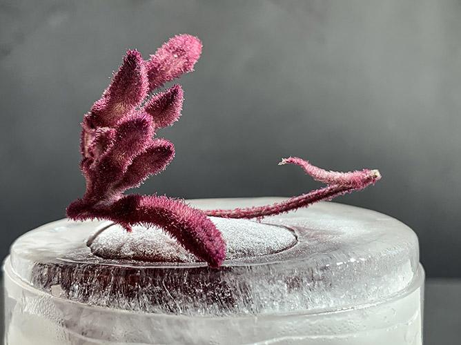 Interieurstyling met ijs, bloemen en mat glaswerk door Serax